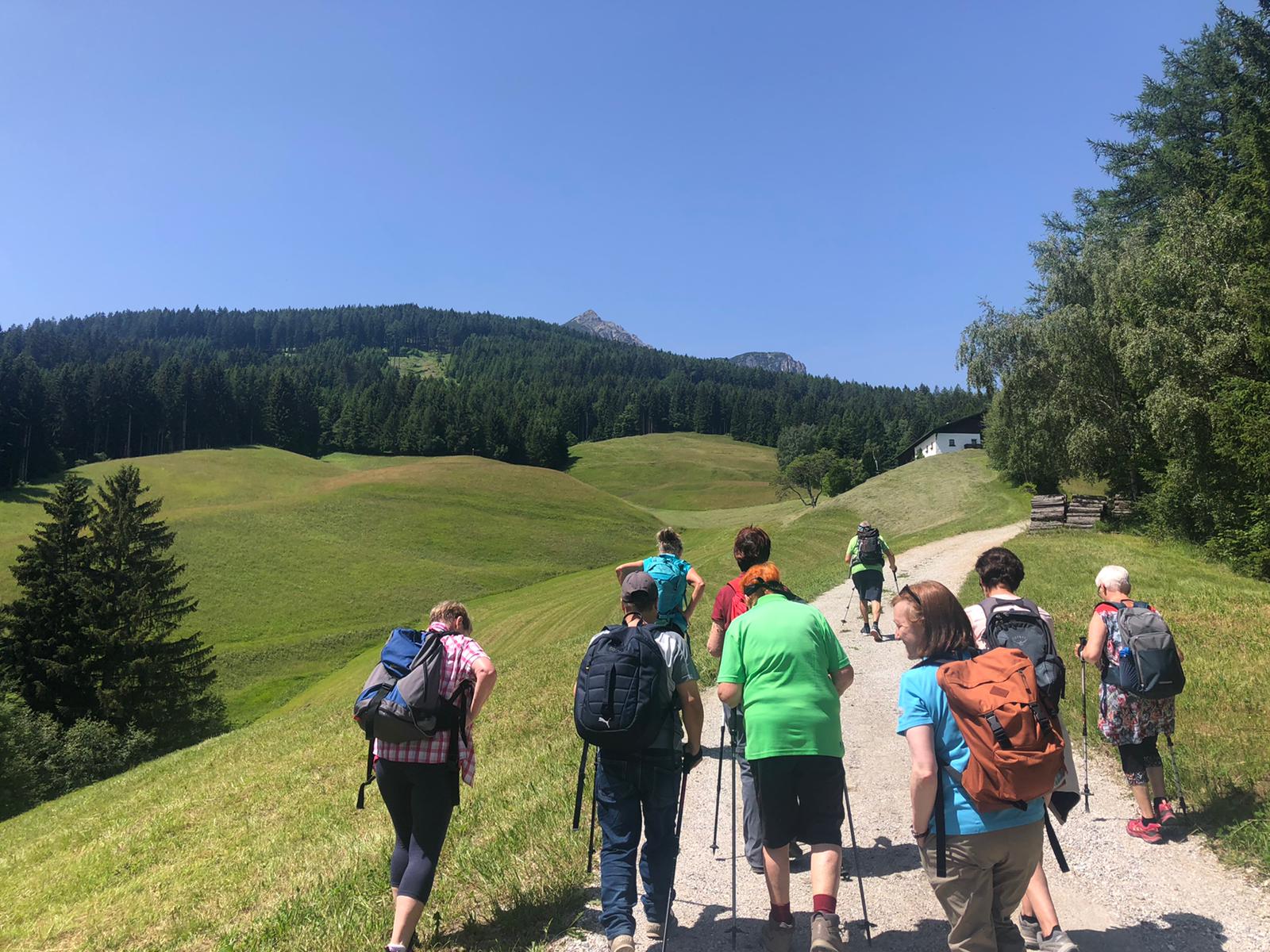 Gruppe von Wanderern auf einem sonnigen Weg durch grüne Wiesen, umgeben von Bäumen und Bergen.