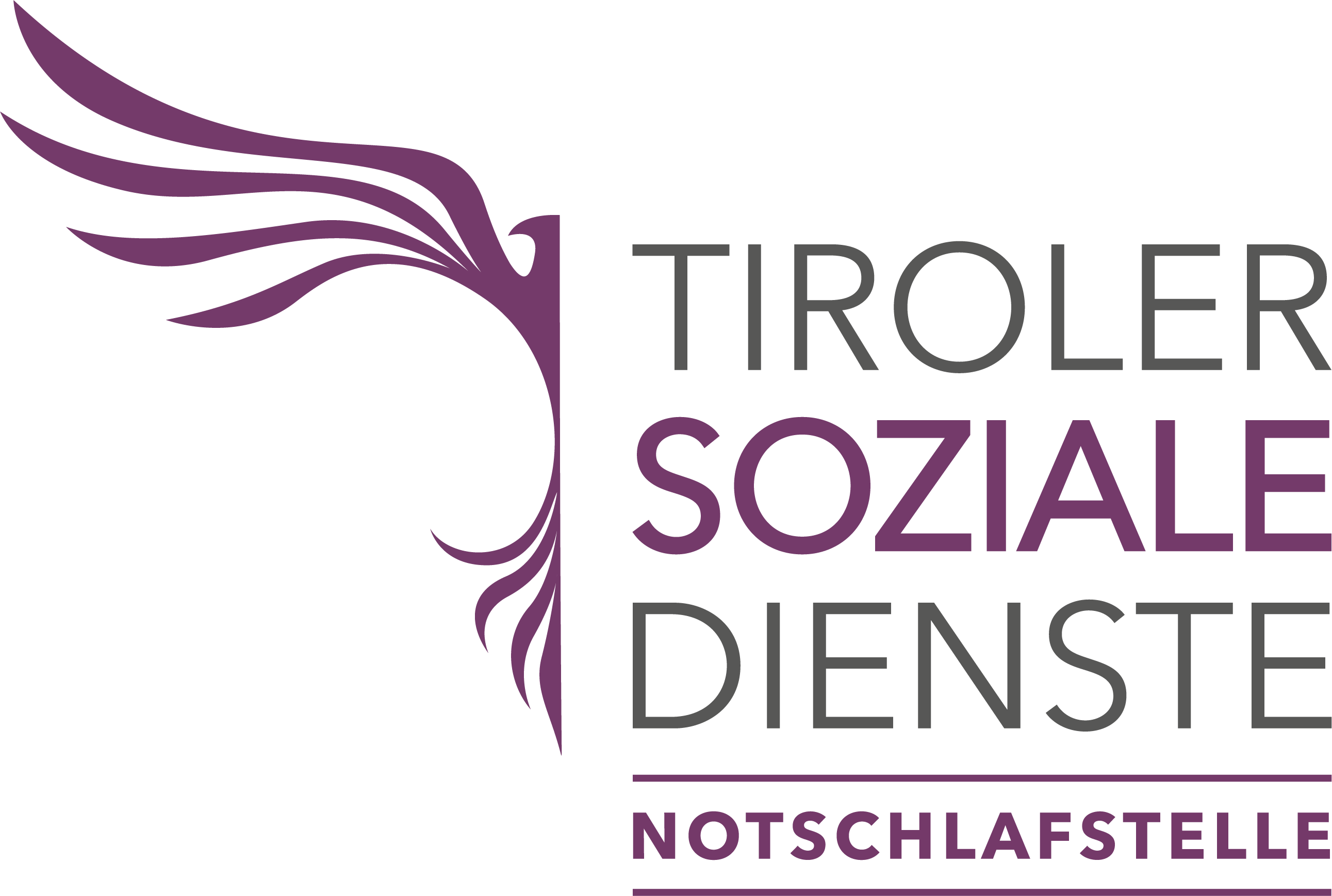 Eine Person hält einen Teller mit grüner Salat und frischen Zutaten in einer Küche. (c) TSD / Verena Kathrein